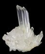 Clear Quartz Crystal Cluster - Madagascar #32300-2